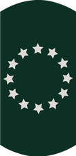 Grafische Darstellung eines stilisierten Deutschland-Flaggenmasts mit einer schwarzen Flagge, die einen weißen Kreis mit zwölf weißen Sternen in der Mitte trägt, symbolisch für die Europäische Union.
