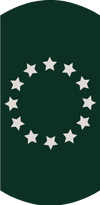 Grafische Darstellung eines stilisierten Deutschland-Flaggenmasts mit einer schwarzen Flagge, die einen weißen Kreis mit zwölf weißen Sternen in der Mitte trägt, symbolisch für die Europäische Union.